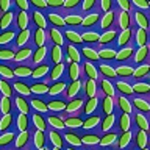 Meet your Posher, Brad